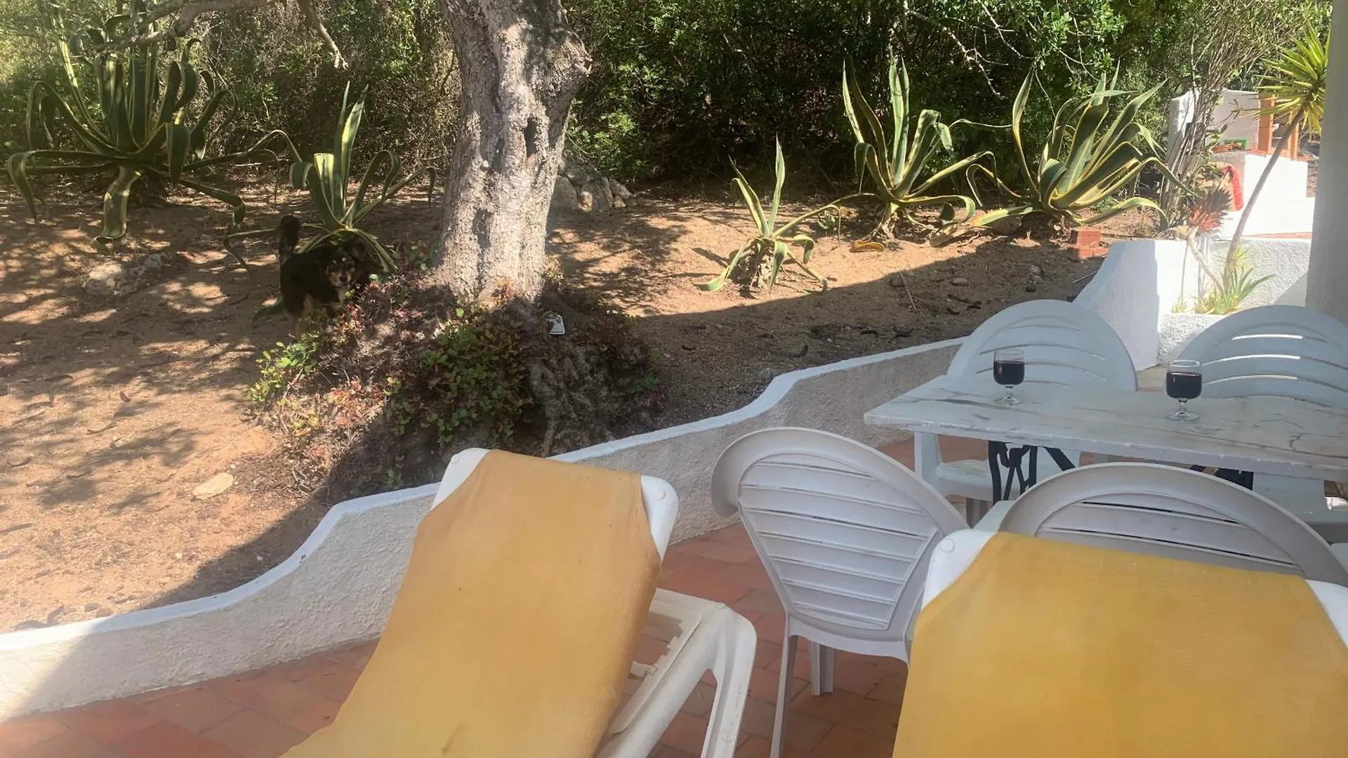Algarve Booking Casa Alfarrobeira Benagil Caves Private Parking Airco Heated Private Pool - Al Carvoeiro  0*, Carvoeiro (Lagoa) Portugal