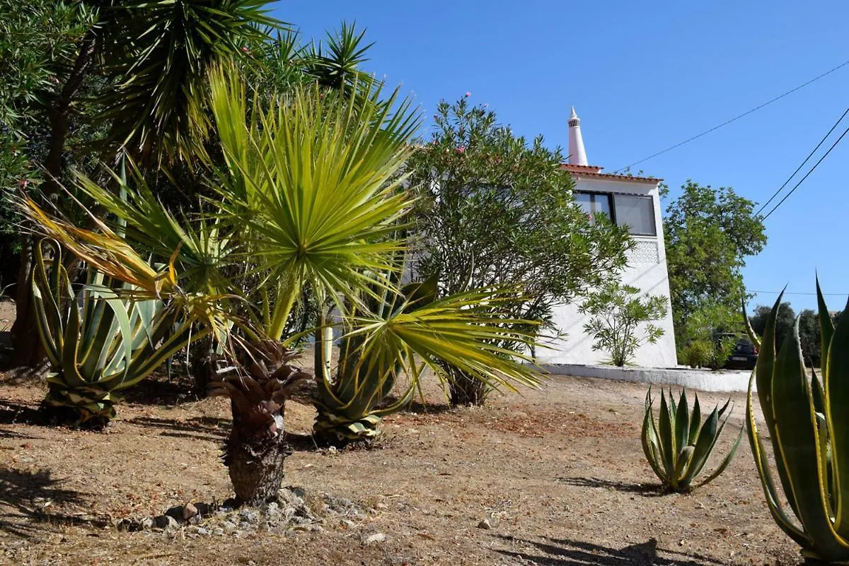 Algarve Booking Casa Alfarrobeira Benagil Caves Private Parking Airco Heated Private Pool - Al Carvoeiro  Holiday home